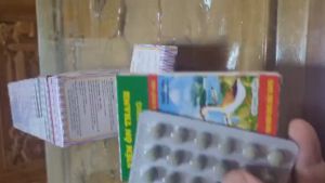 Viêm ôn thanh vỉ 24 viên dùng cho GSGC thú cưng