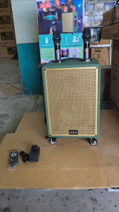 SKG ลำโพง ล้อลาก 8นิ้ว 40W RMS. ไมค์ลอย 2ตัว เสียงดี เบสแน่น รุ่น KG-068 สีเขียว