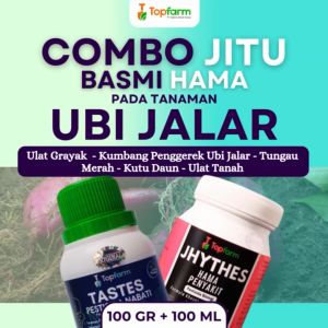 Insektisida Topfarm / Obat Semprot Ubi Jalar / Obat Hama Ubi Jalar Lanas / Obat Semprot Pembesar Ubi Jalar / Obat Ubi Jalar / Obat Pembasmi Hama Ubi Jalar / Obat Ulat Ubi Jalar / Obat Buat Ubi Boleng Ubi Jalar