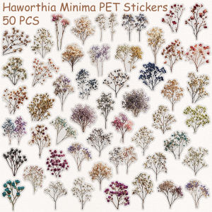 50pcs Vintage Dried Haworthia Minima PET Stickers Decals For Phone Laptop Notebook Refrigerator Guitar DIY Transparent Stickers