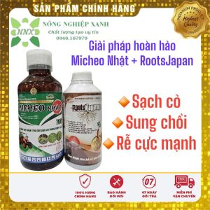 Micheo Nhật 700 chai 1 lít - Sản phẩm diệt mầm trên lúa