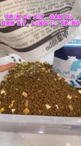 DongPet Hạt Thức Ăn Dành Cho Mèo Mix Cá Khô Thịt Gà Lòng Đỏ Trứng Siêu Dinh Dưỡng - Túi 25kg