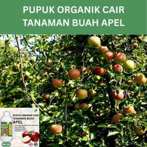 Pupuk Buah Apel 500 ML /Pupuk Booste Apel gkeng Cepat Berbuah Lebat/Pupuk Cair Apel