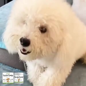 Dog Taurine Powder Easy-To-Mix Support Cognitive Health Enhance Hair Radiance Improve Heart Wellness Pet Nutritional Supplements