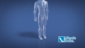 ถุงเท้าสุขภาพ Miracle Socks ถูกบรรเทา บริการไซส์เฟรริ่มเสริมปวด 1 คู่สีดำ เส้นเลือดขอด เจ็บส้นเท้า ฟรี สำหรับการดูแลสุขภาพเนื้อเท้า