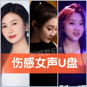 Sad Female Voice Car Mounted USB Flash Drive Popular MP3 Music Songs Data Storage Device Vehicle Entertainment System