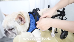 Pet Dog Wheelchair Walking Assistance Dog Wheelchair Adjustable Hind Leg Support For Injured Dogs Rehabilitation Vehicle
