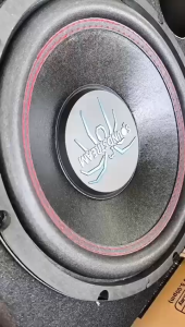 [100% Genuine] SOUNDSTREAM TRP.122SW 12" Woofer with Box Max Power 250W 12 Inch Car Audio Subwoofer