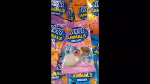World Animals Biscuits 30pcs MR HE
