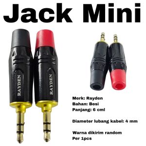 Jack Mini AUX Stereo 3.5mm Rayden