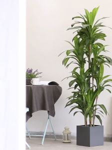 Tanaman Hias Rumah / Artificial Decorative Tree 755