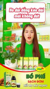 Bổ Phế Không Đường PQA Hỗ Trợ Giảm Ho Đau Rát Họng Và Khản Tiếng Hộp 125ml