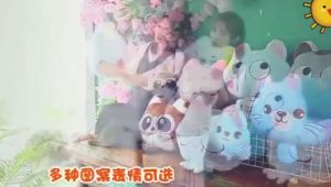 Bộ Chăn Gối Mèo Hoạt Hình 3 IN 1 Mền Mịn Chăn gối văn phòng - ĐƯỢC CHỌN MẪU