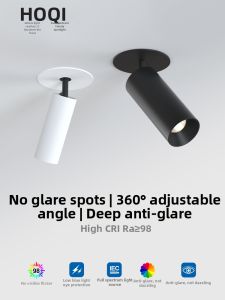 HUOQI | Adjustable Angle Ambient Lighting Spot Light Full Spectrum