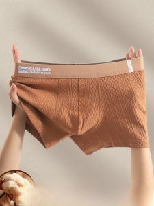 MiiOW | Quần lót nam Catman Pure Cotton Boxer Briefs 2025 Mới thoáng khí sọc chống khuẩn quần short lưng giữa cho nam