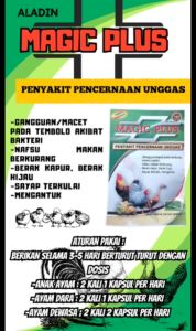 ALADIN MAGIC PLUS SASET 10 KAPSUL - mengobati pencernaan unggas tembolok macet ayam