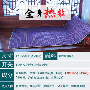 Therapeutic Electric Blanket Hot Compress Bag for Massage Bed Use in Beauty Salons Sea Salt Artemisia Upright Blanket for Home Use