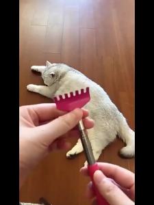 Cat Telescopic Teaser Wand Retractable Scratch Comb Tickle Scratcher Handy Interactive Play Toy for Cats Dogs (Random Color)
