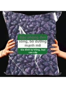 [Net Weight] 2026 Authentic Shelled Black Peanuts Sun-Dried Black Peanuts Black-Skinned Shelled Peanuts Black-Purple-Skinned Peanuts