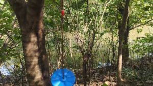 ชิงช้าพลาสติก ชิงช้า ของเล่นเด็ก ของเล่นชิงช้าพลาสติกสําหรับเด็ก ของเล่นสนาม ของเล่นกลางแจ้ง