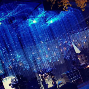 APP 32W RGBW Fiber Optic Light Double Heads With Sparkle Plastic Fiber Optic Cable Light Kit For Ceiling Star Starry Sky