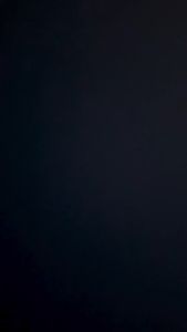 MOOCHIE HOMESTYLE WET DOG FOOD 120G