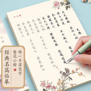 ZOUMUBAI | General Hard Pen Calligraphy Practice Book For Students And Adults Red Copying Ancient Poetry Heartfelt Essays