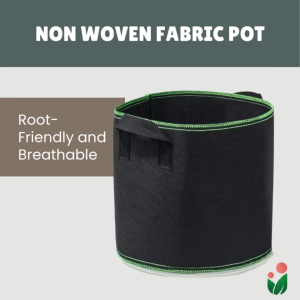 Non-Woven Fabric Container Gardening Pot (3-gallon and 5-gallon)