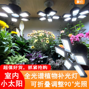 Full Spectrum LED Plant Growth Lamp Vegetable Greenhouse Plant Florals Fill Light Sunlight Succulent Fill Light