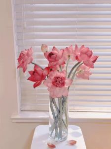 Đạo Cụ Hoa Sen Nhựa Cao Cấp Trang Trí Phòng Khách Đạo Cụ Chụp Ảnh Hoa Sen Lót Hoa Sen Trang Trí Nhà Phong Cách Trung Hoa Cổ