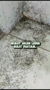 Obat Semut Paling Ampuh Semprot kemasan 100ml