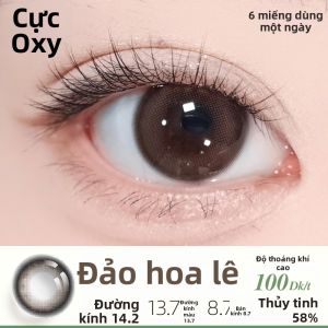 YOUHOO | Mắt Kính Hấp Dán Ngày Một Vứt Đường Kính Nhỏ Dễ Tháo 6 Cái