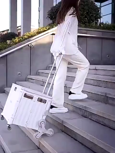 Ston Multifunctional Folding Shopping Cart Large Capacity Trolley Storage Box For Outdoor Camping Express Trolley