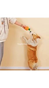 fourlittlepaws 24hr Shipping Latex Toys for Dogs Relieve Boredom Bite-resistant Soft Teething Toy Washable Eetoys