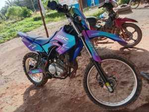 0009 decals sticker wr 155r motif bunglon 001