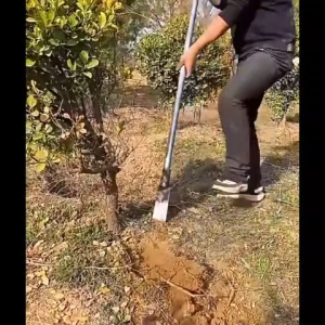 Small Luoyang Shovel Pala Multifunctional Gardening Tool for Hole Digging & Seedling Transplanting