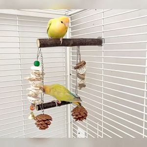 🇸🇬 Parrot Perch Swing with Cuttlefish Bone: Combination Chew Toys for Birds
