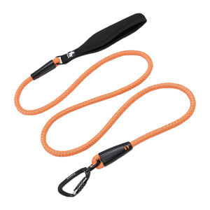 Dây Xích Chó TRUELOVE Dây Nylon Phản Quang Đi Bộ Chạy Dây Có Tay Cầm Mềm Cho Chó Trung Bình Lớn Carabiner Phụ Kiện Thú Cưng