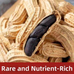 Organic Selenium-rich Dried Black Peanuts