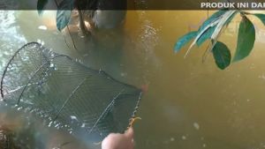 Bumi Damai Bubu Perangkap Ikan Bulat 33 CM Jebakan Jaring Jala Lipat Udang Kepiting Sungai Danau Laut Alat Pancing Fish Trap Net