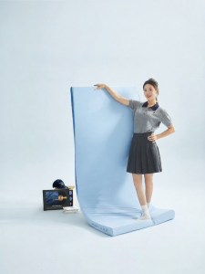 Boyang Home Textile | Slow Rebound Memory Foam Mattress Student