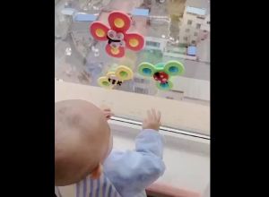 Con quay spinner cao cấp an toàn đồ chơi cho bé có âm thanh vui nhộn và dính tường - Đồ chơi an toàn cho bé