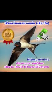 เสียงเรียกนกนางแอ่น เสียงในเรียกนกเข้าทำรัง เสียงต่อนกนางแอ่น เสียงล่อนกนางแอ่น ต่อเข้าเร็ว USBแฟลชไดร์ฟเสียงนกนางแอ่นเสียงดี ชัด100% ไม่มีโฆษณาแทรก