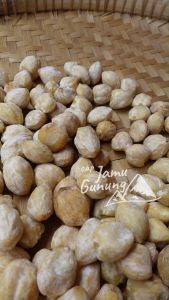 Kemiri Bulat Super 100 gr Grade A - Asli Hutan