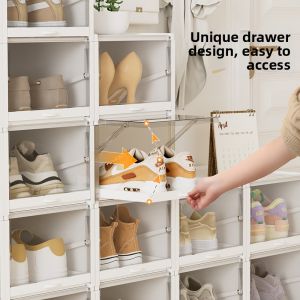 Dust-proof Transparent Shoe Organizer