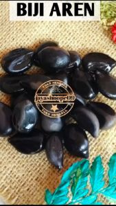 Bibit Biji Aren Unggul Super (ISI 100 & Bonus 10 Biji)