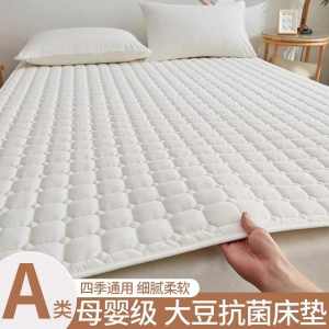 A-Class Soy Fiber Mattress Thin Soft Pad Home Use Single Student Dormitory Anti-Slip Quilt Cover Protection Pad Liner