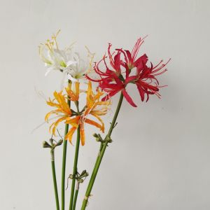 Hoa Giả Mận Đỏ Tự Nhiên Hoa Tươi Cho Chụp Ảnh Hoa Cầm Tay Trang Trí Hoa Giả Cho Không Gian Nhà