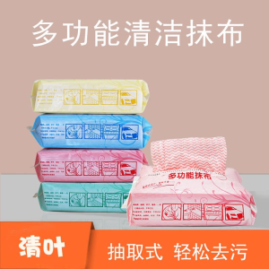 WE 3572 = 多功能抺布 Multifunctional mop ☞ 80 pulls