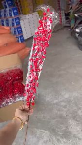 Đào Đông 9 Nhánh Loại Đẹp Hàng Có Sẵn Ship Ngay